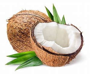 Fresh cut open Coconut 
